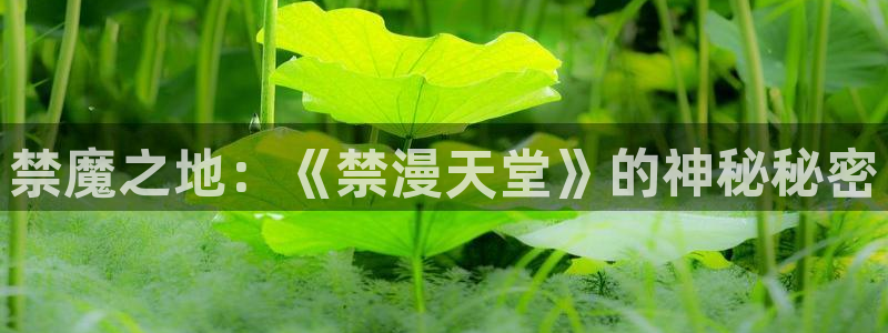 酷漫屋下载最新版