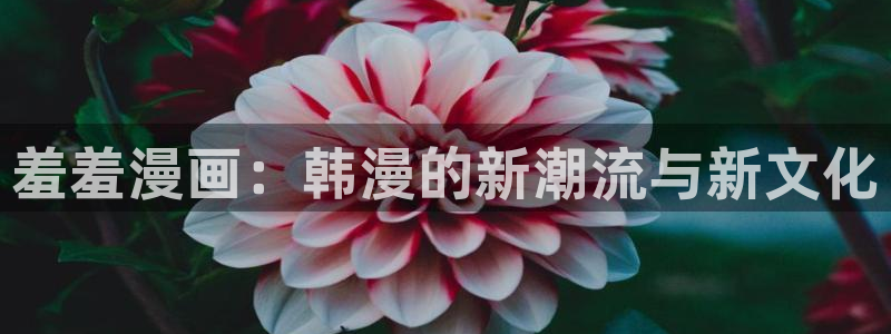 酷漫屋正版下载入口