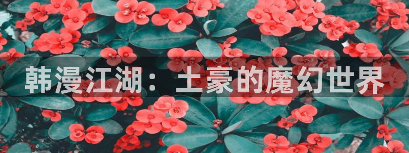 omofun 网站