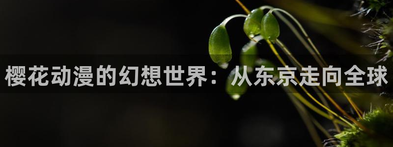 omofun纯净版下载