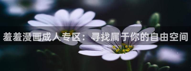 omofun正版官方链接