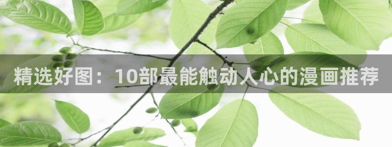 omofun网站网页版