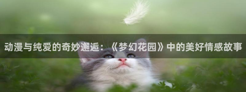 omofun. t