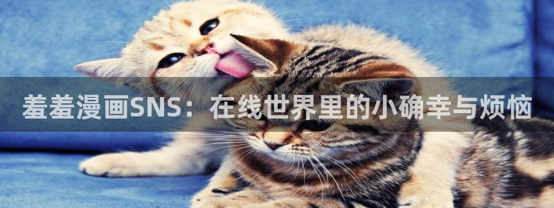新版omofun下载：羞羞漫画SNS：在线世界里的小确幸与烦恼