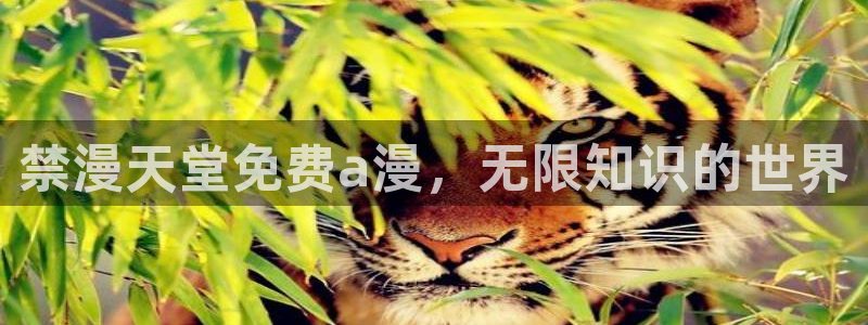 omofun. com：禁漫天堂免费a漫，无限知识的世界